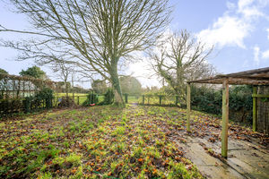 Rear garden- click for photo gallery